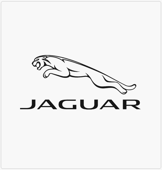 Jaguar Turbo Tamiri