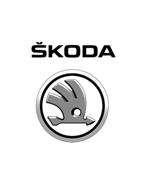 Skoda Turbo Tamiri - Turbo Teknik Servisi
