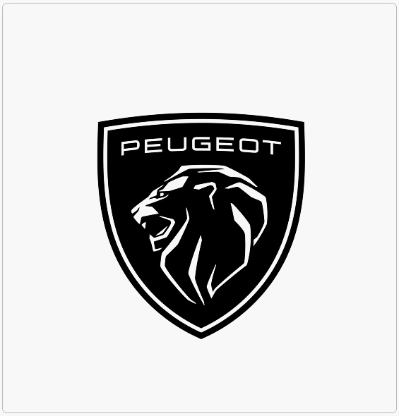 Peugeot Turbo Tamiri